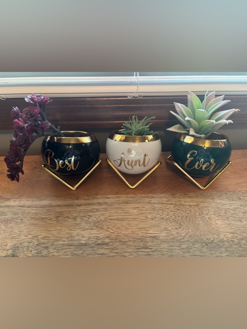 NWOT Best Aunt Ever Ceramic Planter set with Gold Accent and base.